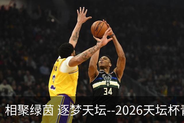 相聚绿茵 逐梦天坛--2026天坛杯青少年足球交流火热开启
